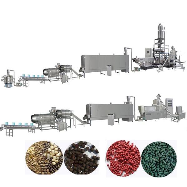 Dry Type Floating Fish Feed Extruder Machine in Nigeria