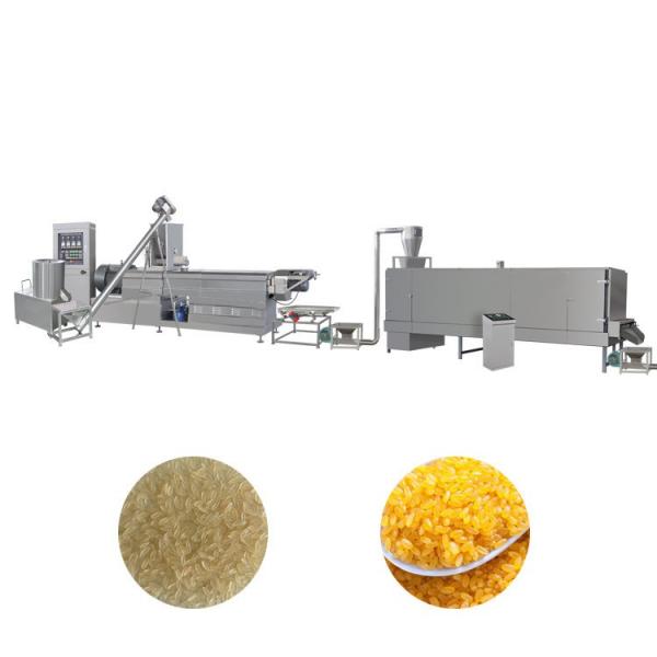 Automatic artificial rice making machine plant equipment for artificial millet production fortified rice extruded machine