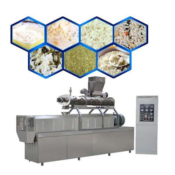 Automatic Enriched Artificial Nutritional Instant Fortified Rice Making Machine Line plant