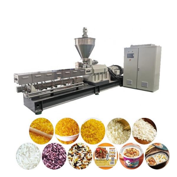 Nutritions Rice Kernel Make Extruder Machine/Fortified Rice Extrusion Machinery