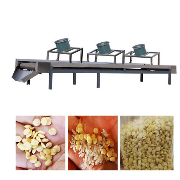Artifical Nutrition Fortified Rice Kernel Frk Processing Making Machine