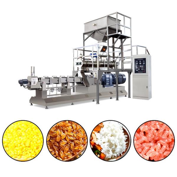 nutrition fortified rice kernel plant processing making machine extruder manufacturer production line